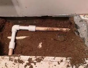 孝南测漏水哪家好