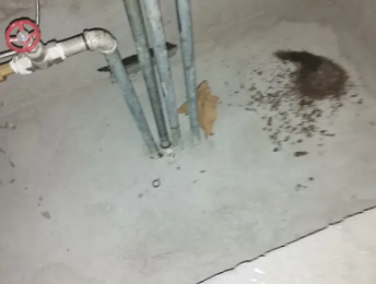 孝南卫生间测漏水价格明细