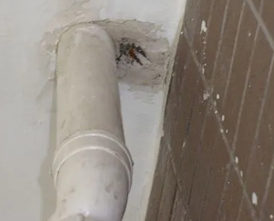 孝南漏水检测哪家好